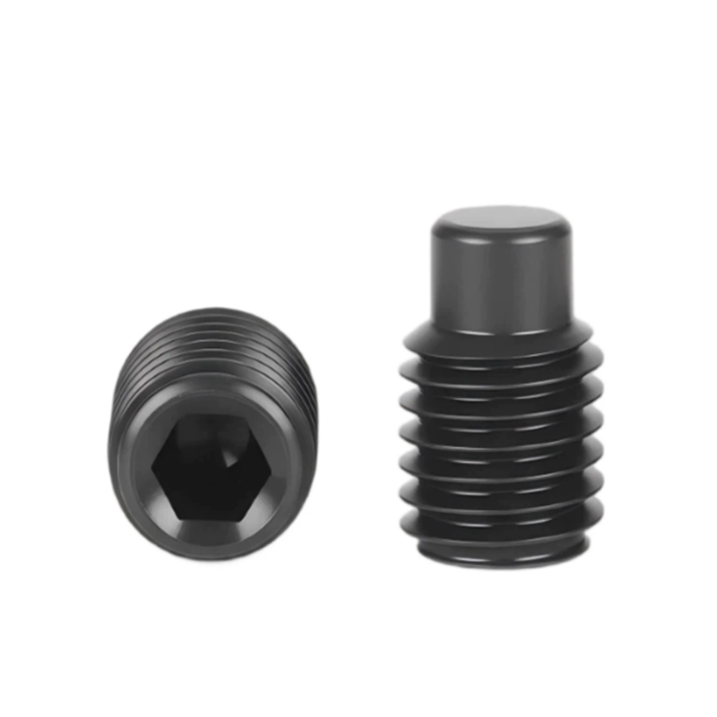 Tornillos de extremo convexo d - Paella Pan Steel reseña y precio